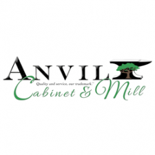 ANVIL11